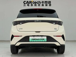 2025 BYD Dolphin 45.12 kWh I Рестайлинг, белый, 1401111 рублей, вид 5