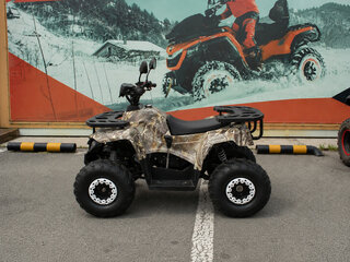 2026 Другие Мотовездеходы (другие), бежевый, 114400 рублей, вид 2