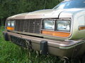 1981 AMC Eagle, бежевый - вид 6