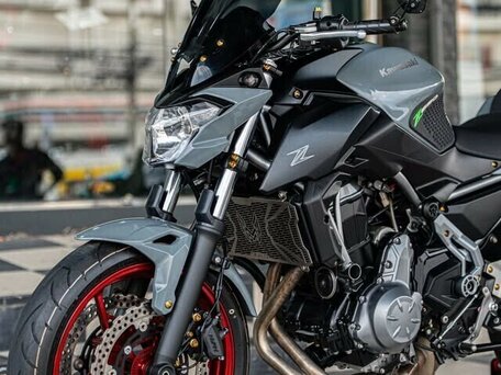 2018 Kawasaki Z 650, серый, 640000 рублей, вид 3