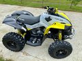 2019 BRP Can-Am Renegade 1000, жёлтый - вид 6