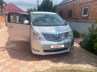 2009 Toyota Alphard II, серый, 2500000 рублей, вид 1