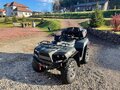 2013 Cectek GLADIATOR, серый, 450000 рублей - вид 6