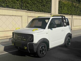 2024 Geely Panda Mini I, белый, 911700 рублей, вид 1
