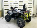 2026 Stels ATV-800 Guepard Trophy, серый - вид 2