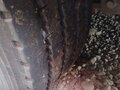 2008 Savell Samro, серый, 950000 рублей - вид 8