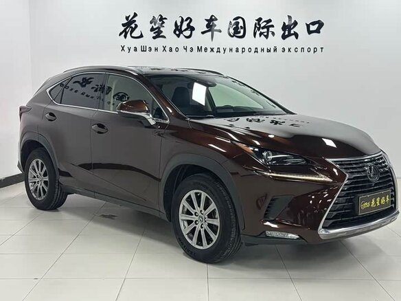 2020 Lexus NX 200 I Рестайлинг, коричневый - вид 2
