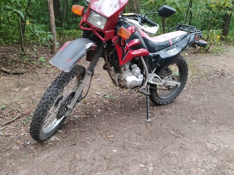 2006 Lifan LF200GY-5, красный, 100000 рублей, вид 2