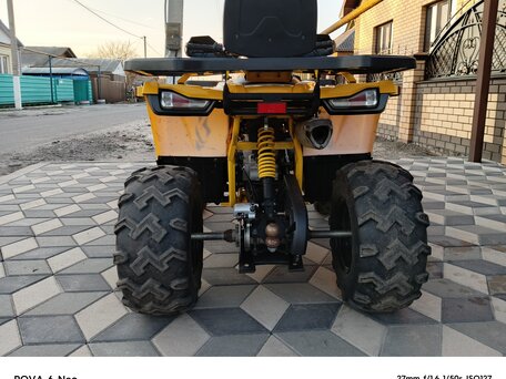 2023 Motoland Wild Track 200, жёлтый, 190000 рублей, вид 2