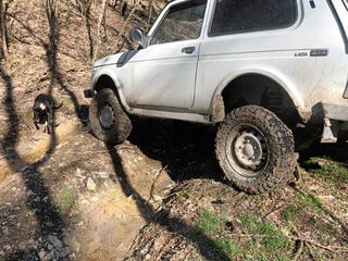 1999 Lada (ВАЗ) 2121 (4x4) I Рестайлинг, белый, 230000 рублей, вид 5