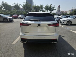 2021 Lexus NX 200 I Рестайлинг, белый, 2564000 рублей, вид 5