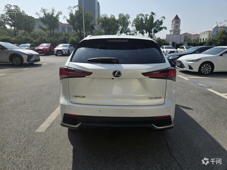 2021 Lexus NX 200 I Рестайлинг, белый, 2564000 рублей, вид 5