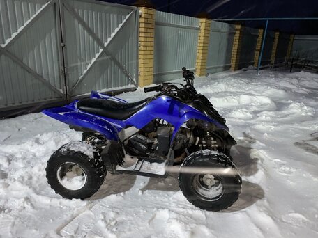 2009 Yamaha Raptor YFM90, синий, 249000 рублей, вид 4
