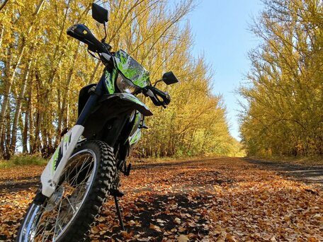 2020 Racer Panther, зелёный, 120000 рублей, вид 2
