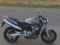 2003 Honda CB 600F Hornet, серебристый, 175000 рублей - вид 6