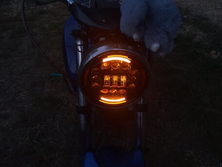 2011 Racer Nitro, синий, 60000 рублей, вид 3