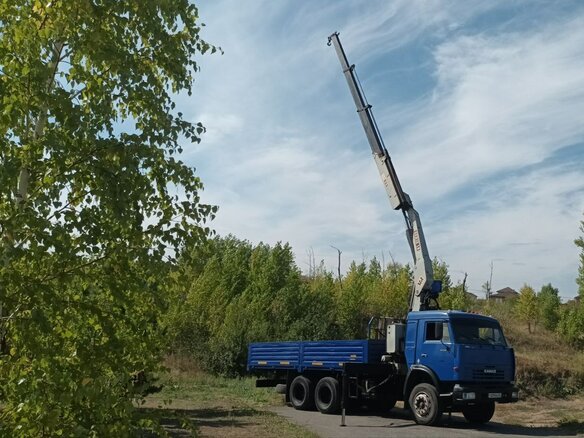 2006 КамАЗ 53229, синий, 3500000 рублей - вид 3