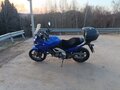 2004 Suzuki V-Strom DL 650, синий, 380000 рублей