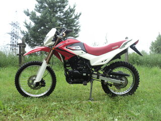 2013 Irbis TTR 250, пурпурный, 85000 рублей, вид 1