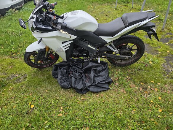 2014 S2 Motors Panther CBR250, белый, 110000 рублей - вид 4