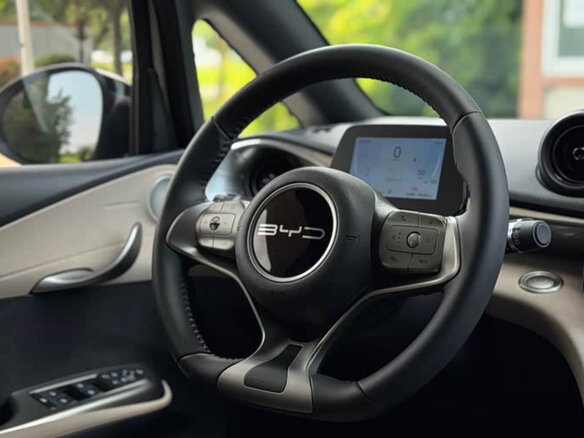 2024 BYD Dolphin 44.9 kWh I, белый, 1630000 рублей - вид 10