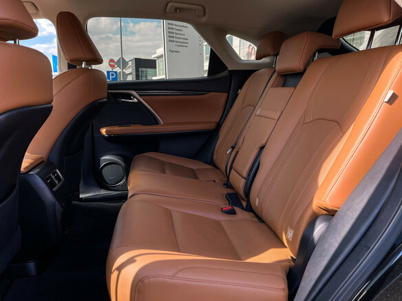 2020 Lexus RX 300 IV Рестайлинг, чёрный - вид 9