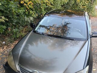 2004 Toyota Camry V (XV30), чёрный, 580000 рублей, вид 3