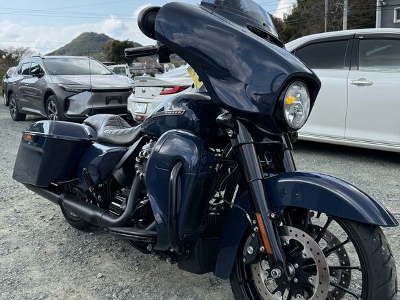 2018 Harley-Davidson Street Glide Special, синий, 1735000 рублей - вид 13