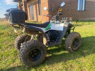 2024 Avantis Hunter 250, белый, 105000 рублей, вид 4