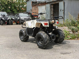 2026 Motoland ATV 110 Rider, серый, 73700 рублей, вид 4