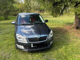 2011 Skoda Fabia II Рестайлинг, серый, 560000 рублей, вид 1