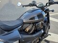 2024 Harley-Davidson Sportster S, коричневый - вид 11