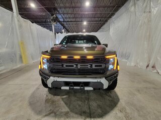 2026 Ford F-150 Raptor XIV Рестайлинг, зелёный, 15819426 рублей, вид 2