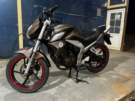 2014 Racer Fighter, коричневый, 85000 рублей, вид 1