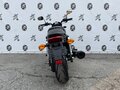 2016 Harley-Davidson Street 750, чёрный, 540000 рублей - вид 3