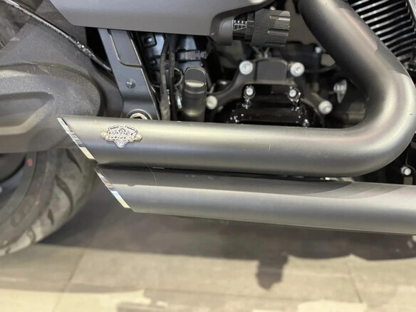 2018 Harley-Davidson FXDR 114, чёрный, 2400000 рублей - вид 21