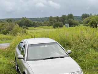 2007 Skoda Octavia I (A4) Рестайлинг, бежевый, 350000 рублей, вид 4