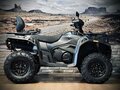 2026 Loncin XWolf 550, серый, 817000 рублей