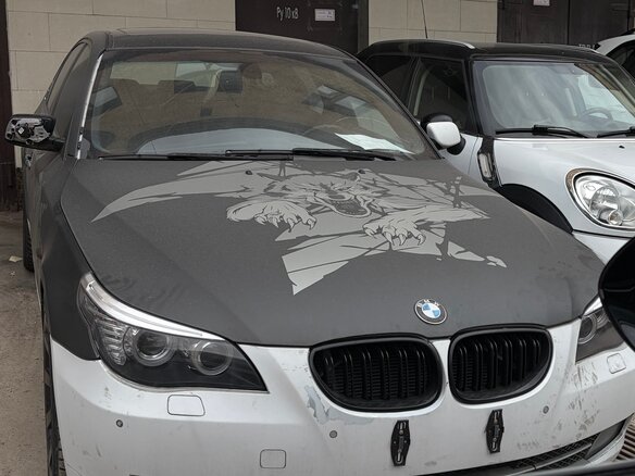 2009 BMW 5 серии 530i V (E60/E61) Рестайлинг, серый - вид 1