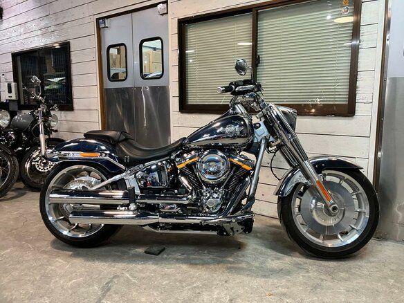2025 Harley-Davidson Fat Boy, серебристый, 4899000 рублей - вид 1