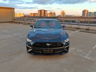 2019 Ford Mustang VI Рестайлинг, чёрный, 2500000 рублей, вид 4