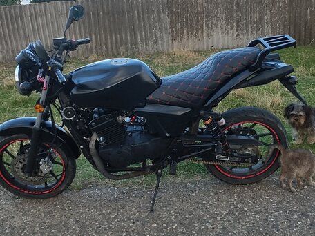 2014 Desert Raven Nevada, чёрный, 165000 рублей, вид 3