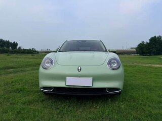 2023 Ora Good Cat 47.8 kWh I, зелёный, 1350325 рублей, вид 2