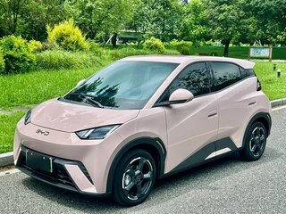 2025 BYD Seagull 38.88 kWh I Рестайлинг, розовый, 1050000 рублей, вид 1