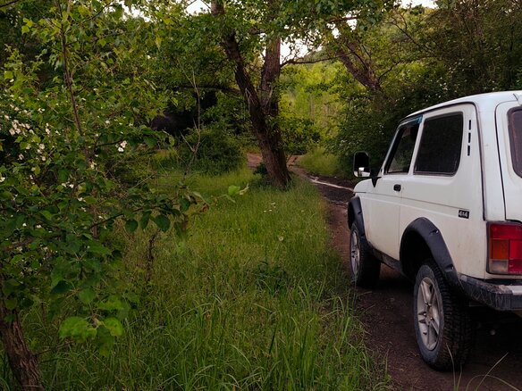 2003 Lada (ВАЗ) 2121 (4x4) I Рестайлинг, белый - вид 11
