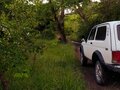 2003 Lada (ВАЗ) 2121 (4x4) I Рестайлинг, белый - вид 11