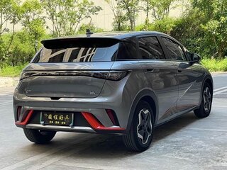 2023 BYD Dolphin 44.9 kWh I, серый, 1320000 рублей, вид 5