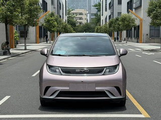 2022 BYD Dolphin 30.7 kWh I, розовый, 1090000 рублей, вид 2