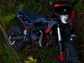 2024 Oxo Shadow, чёрный, 75000 рублей - вид 6