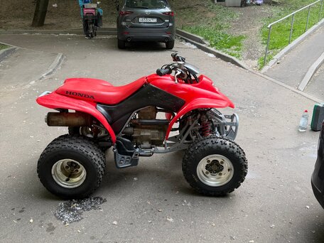 2005 Honda TRX 250, красный, 220000 рублей, вид 4
